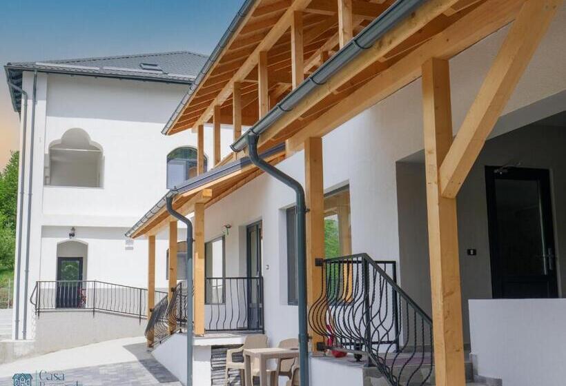 پانسیون Casa Basarab
