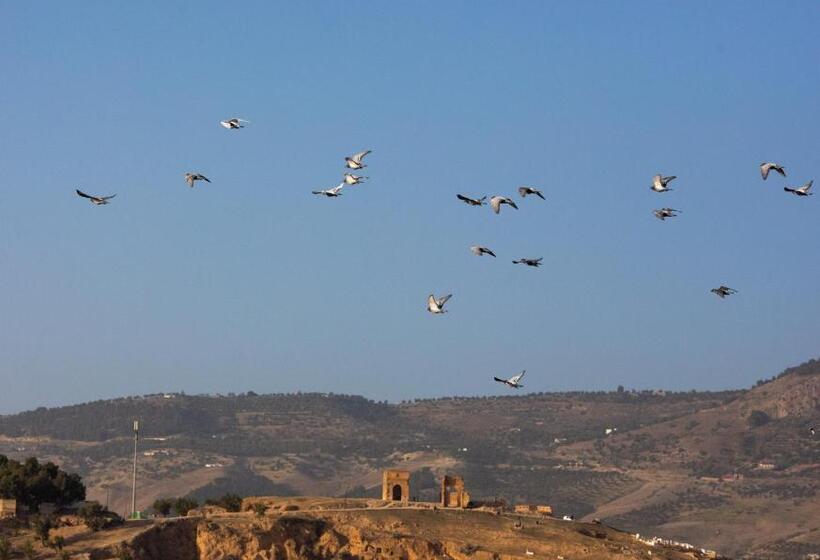 Riad Le Moucharabieh