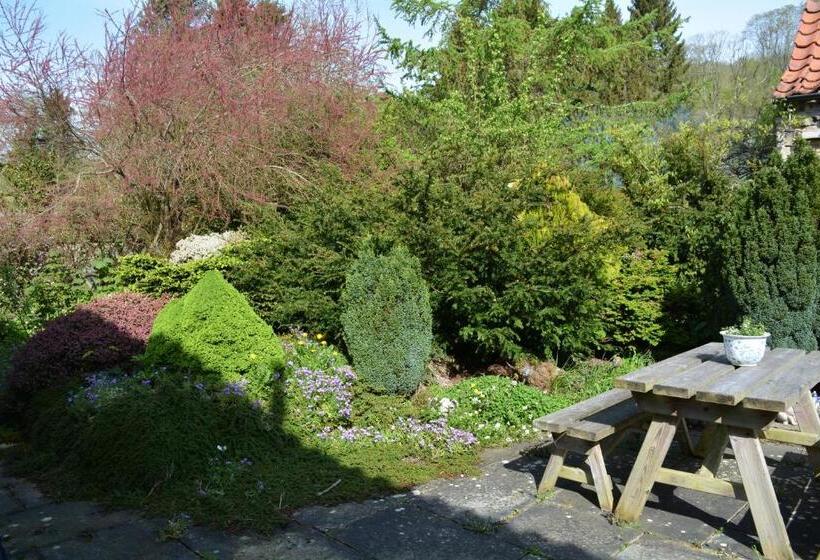 Bed and Breakfast Bohemianbreezebreaks