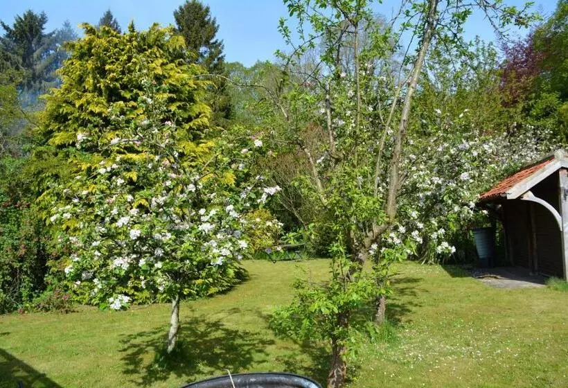 Aamiaismajoitus (B&B) Bohemianbreezebreaks