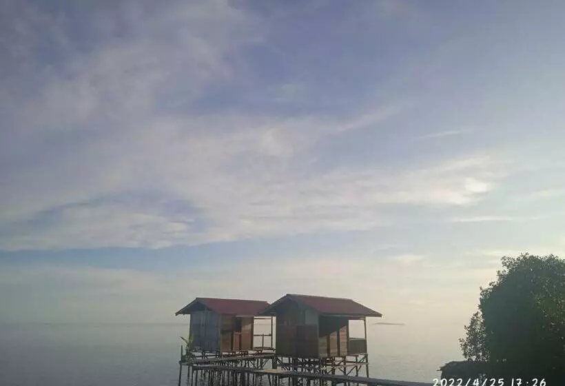 ペンション Raja Ampat Nemo Homestay