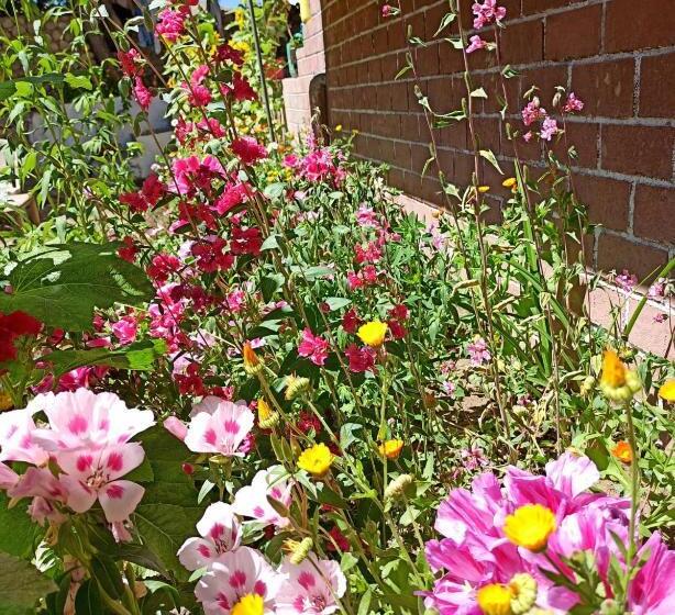 פנסיון Sonam Guest House