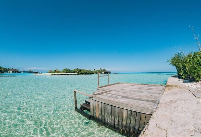 تختخواب و صبحانه The Bilimbi Guesthouse & Inn