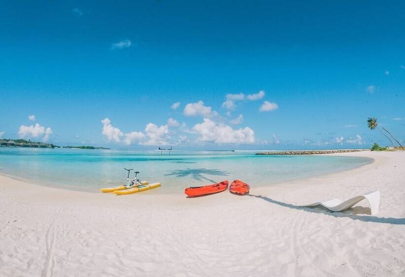 تختخواب و صبحانه The Bilimbi Guesthouse & Inn