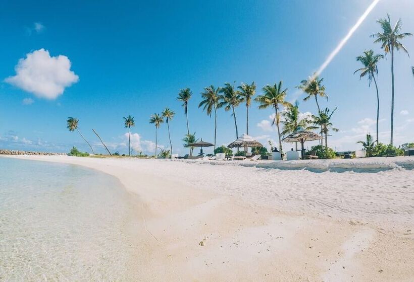 تختخواب و صبحانه The Bilimbi Guesthouse & Inn