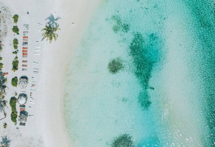 تختخواب و صبحانه The Bilimbi Guesthouse & Inn