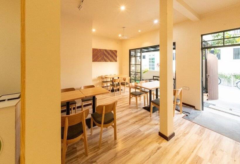 تختخواب و صبحانه The Bilimbi Guesthouse & Inn