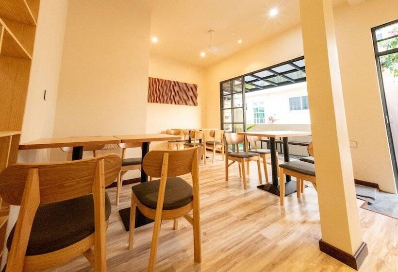 تختخواب و صبحانه The Bilimbi Guesthouse & Inn