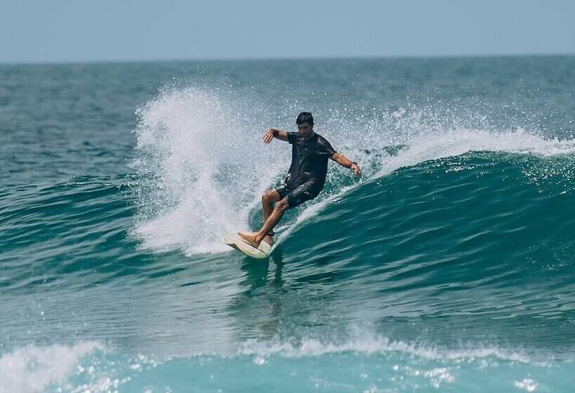 تختخواب و صبحانه The Bilimbi Guesthouse & Inn