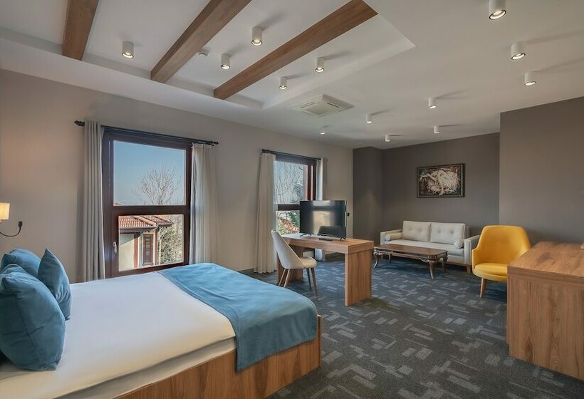 ホテル Erta Soyak Thermal