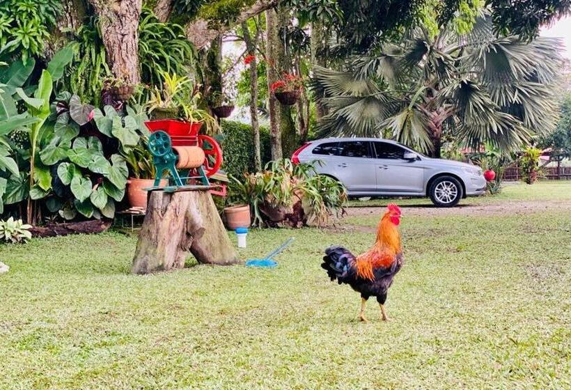 Finca Hotel El Laurel   Parque Del Café