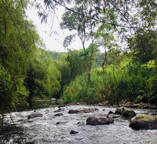 Finca Hotel El Laurel   Parque Del Café