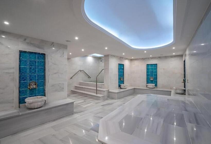 ホテル Erta Soyak Thermal