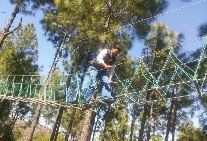 בית מלון כפרי Misty Meadows Resorts