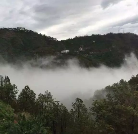 ホテル Misty Meadows Resorts