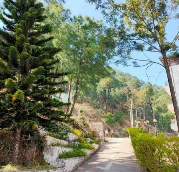 ホテル Misty Meadows Resorts