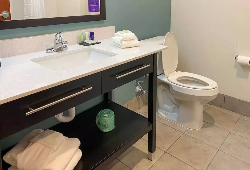ホテル Sleep Inn Greensboro   Coliseum Area