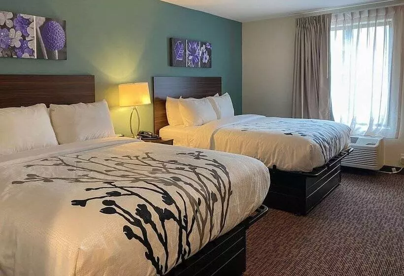 ホテル Sleep Inn Greensboro   Coliseum Area