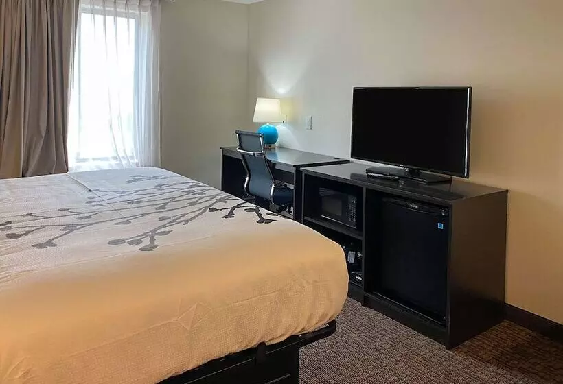 ホテル Sleep Inn Greensboro   Coliseum Area