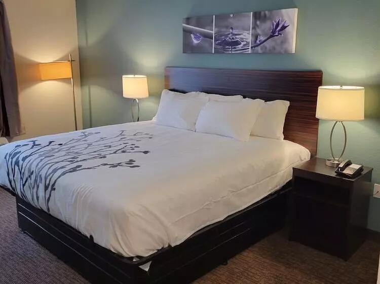 ホテル Sleep Inn Greensboro   Coliseum Area