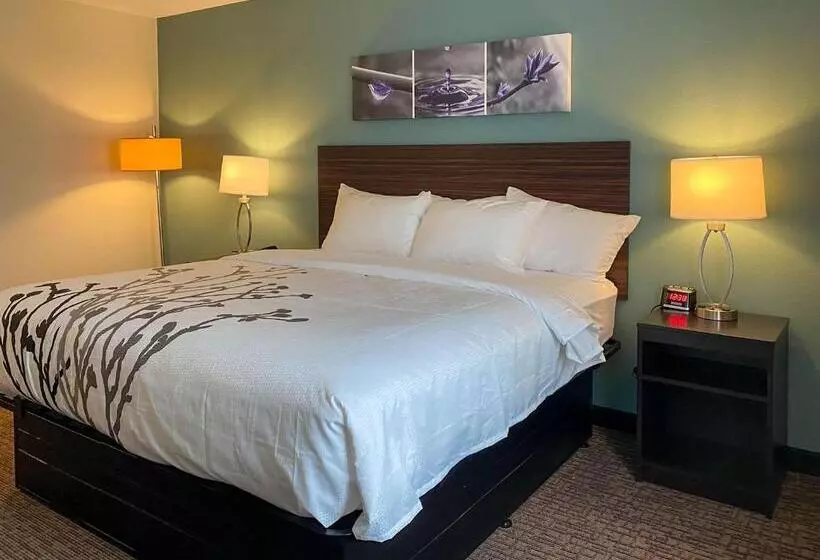 ホテル Sleep Inn Greensboro   Coliseum Area