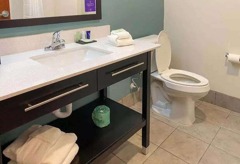 ホテル Sleep Inn Greensboro   Coliseum Area