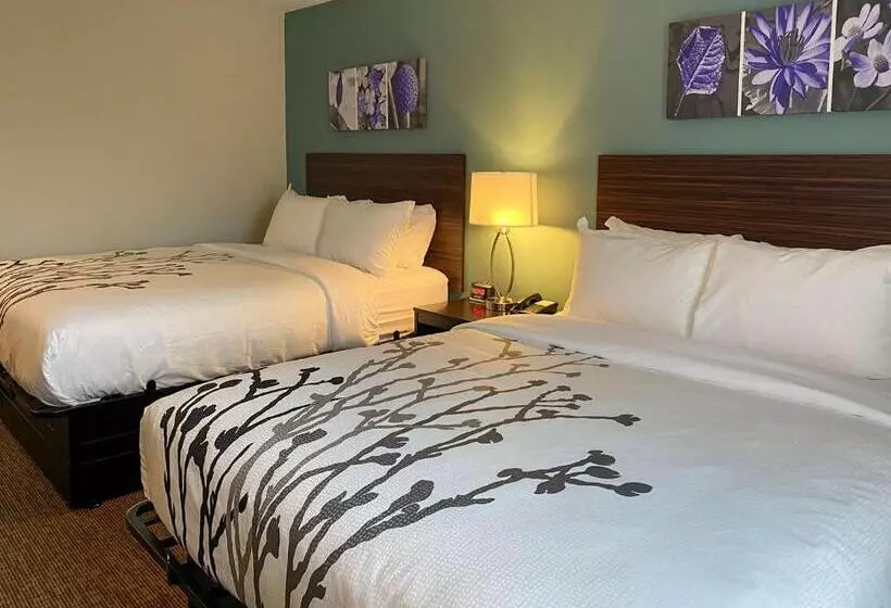 ホテル Sleep Inn Greensboro   Coliseum Area