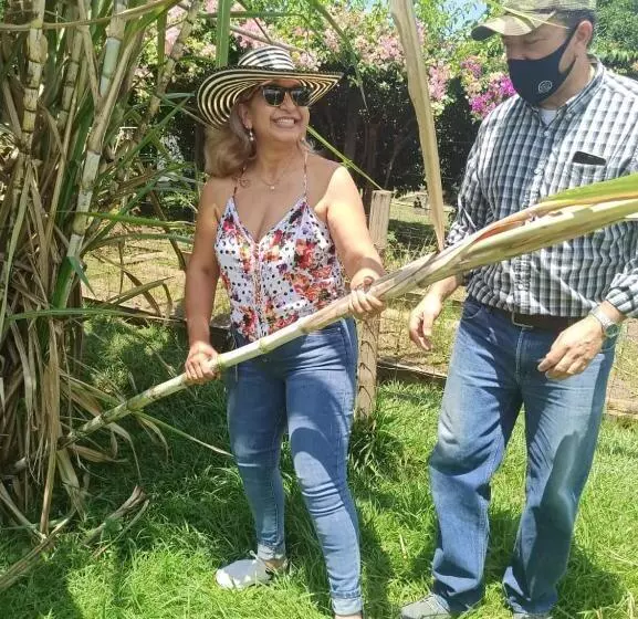 ホテル Minifinca La Comarca   Alojamiento Y Experiencias Agrícolas