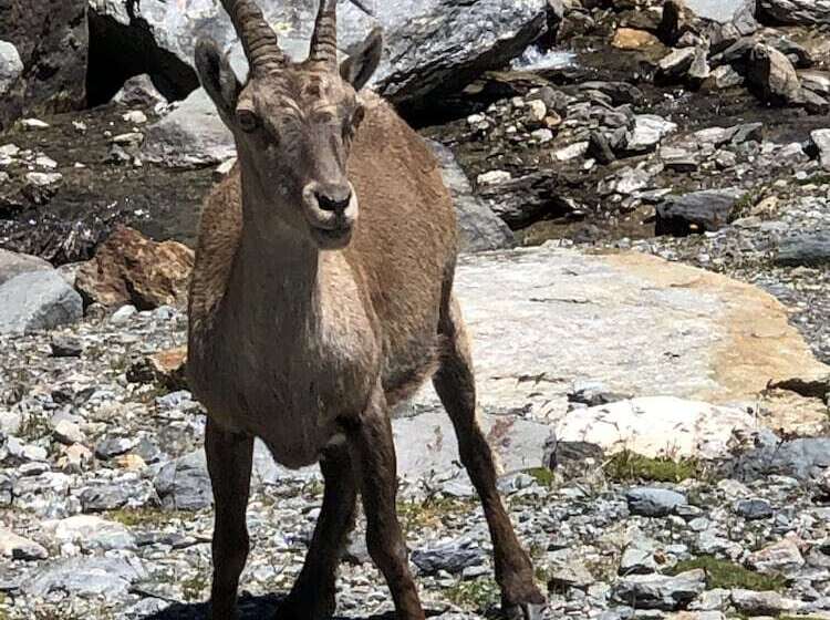 هتل Village De Vacances Fleurs Et Neige