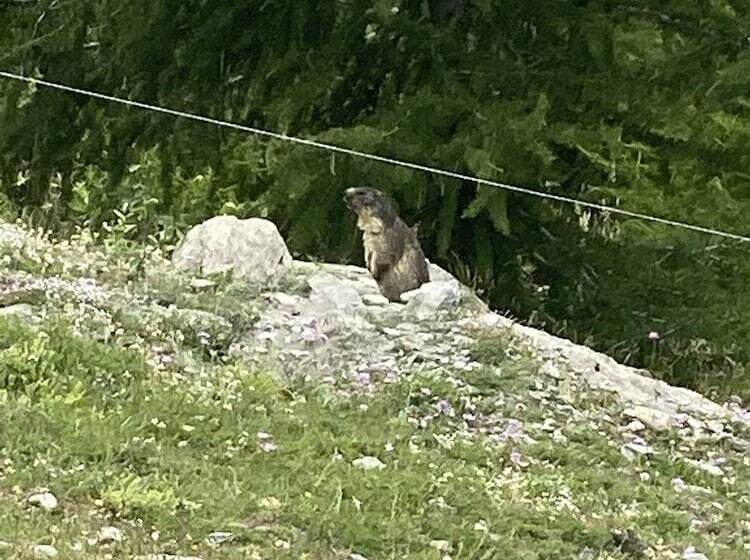 هتل Village De Vacances Fleurs Et Neige