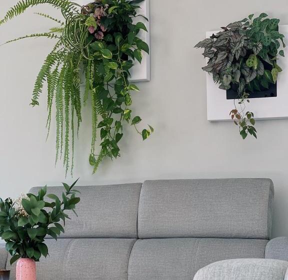 تختخواب و صبحانه Luna House & Cowork