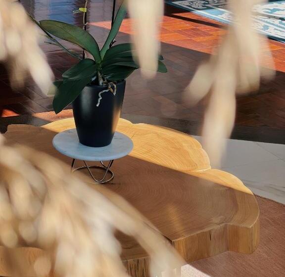 تختخواب و صبحانه Luna House & Cowork