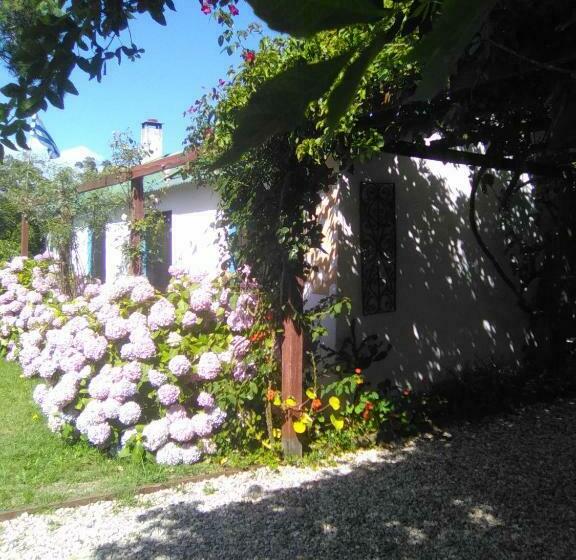 Pansiyon Casa Buganvilla