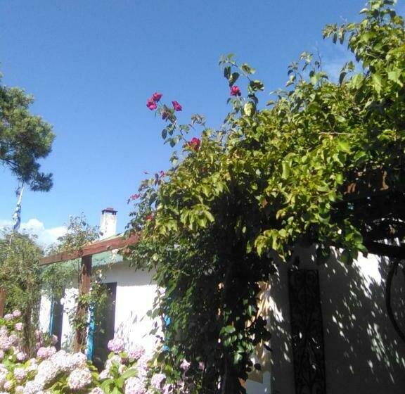 Pansiyon Casa Buganvilla