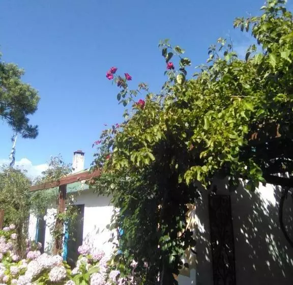 ペンション Casa Buganvilla