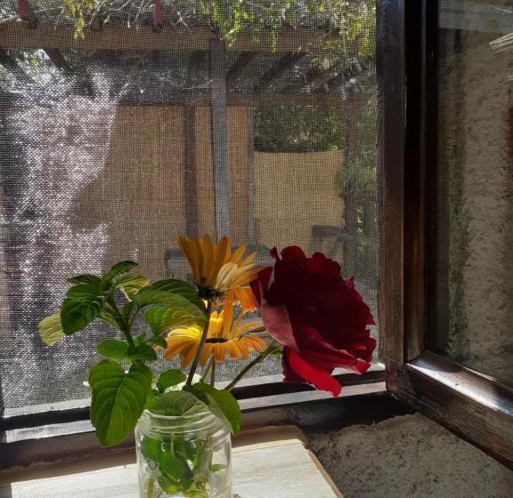 Pansiyon Casa Buganvilla