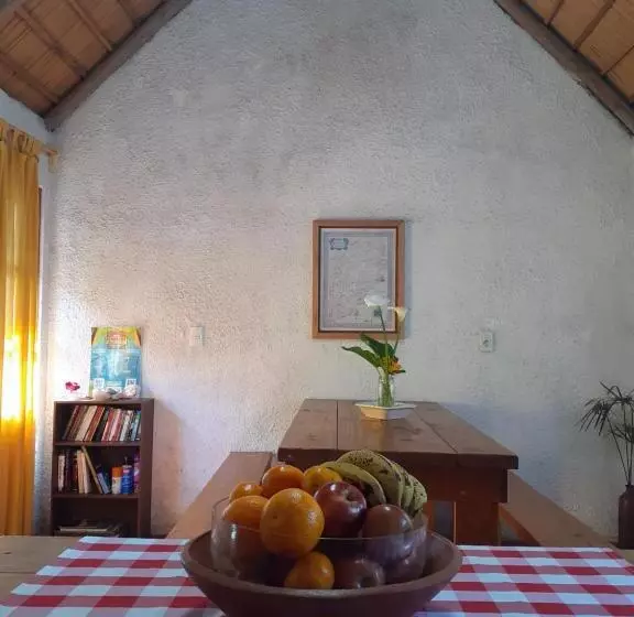 ペンション Casa Buganvilla