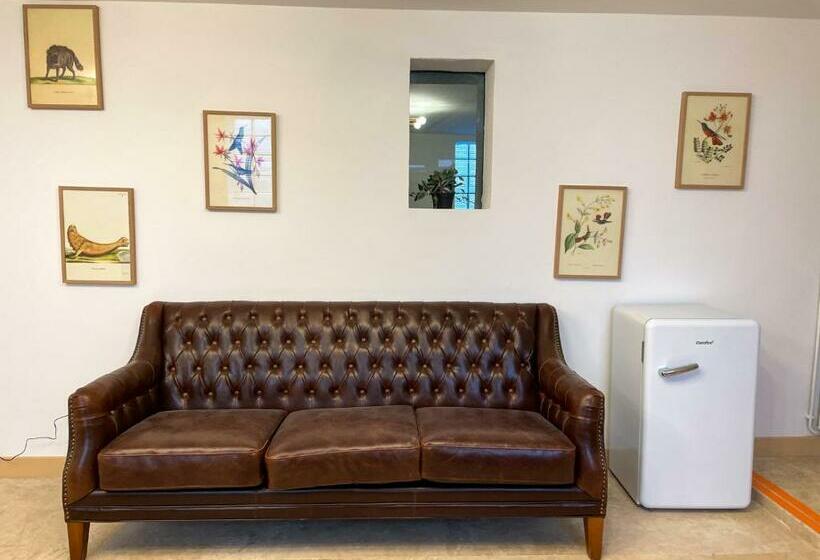 بنسيون Maison Des Fleurs