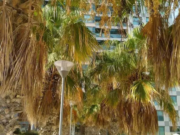 Hotel Okeanos Ba Marina By Sophie