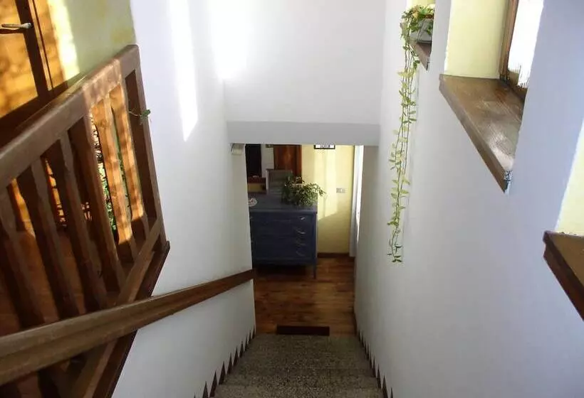 Отель B&b Edelweiss