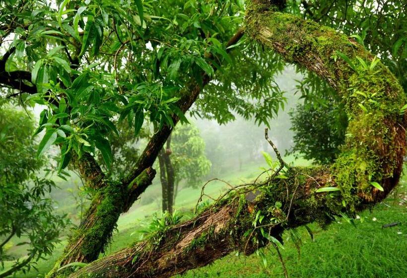 فندق Camelot Resort