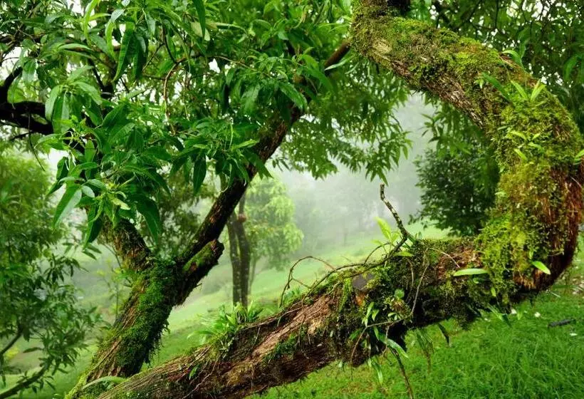 Отель Camelot Resort