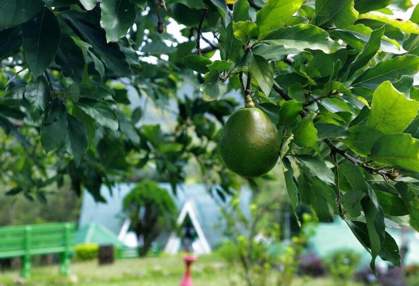 فندق Camelot Resort