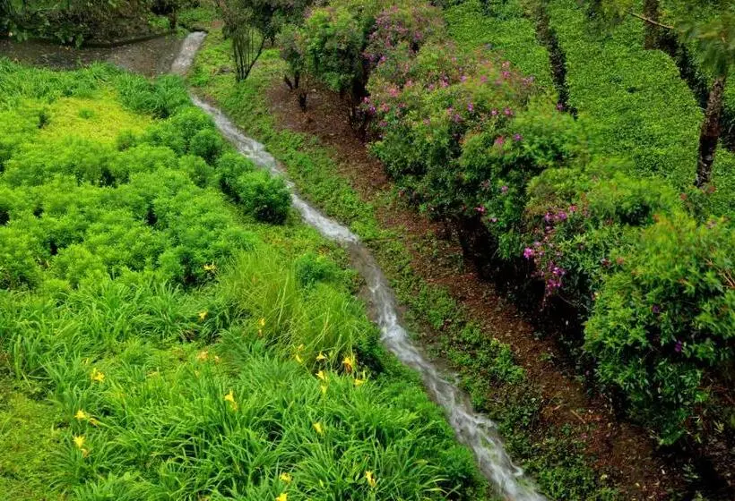 Отель Camelot Resort