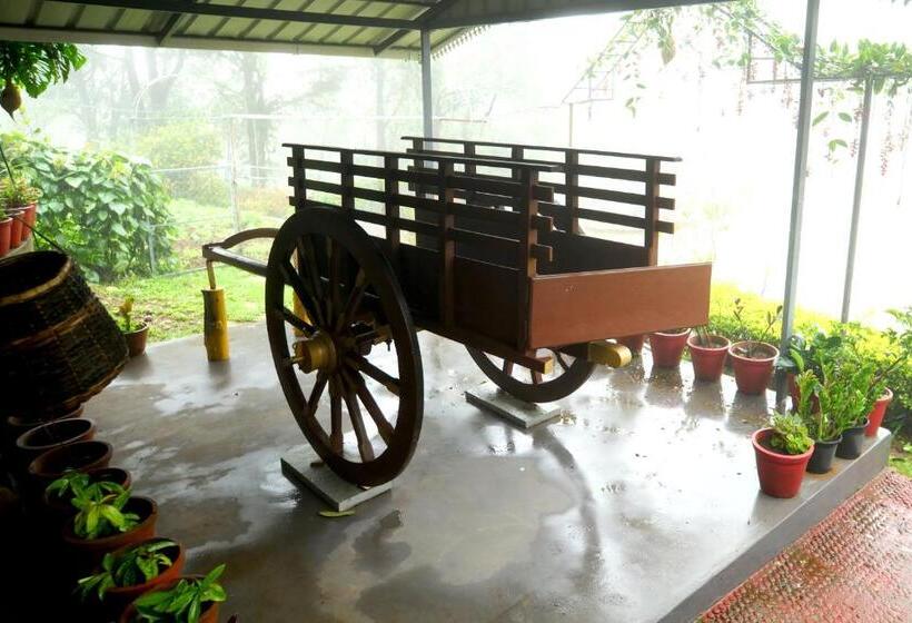 فندق Camelot Resort