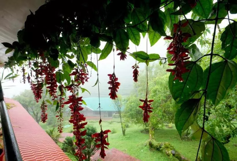 Отель Camelot Resort