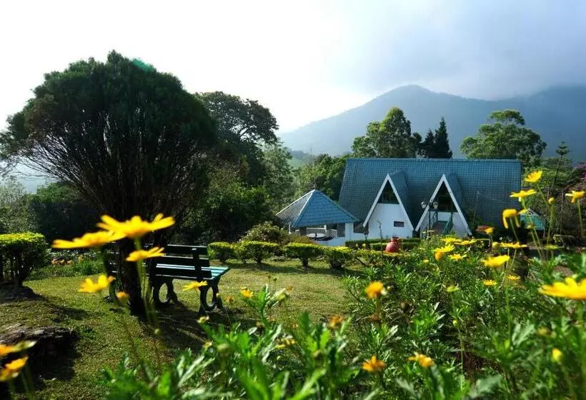 Отель Camelot Resort