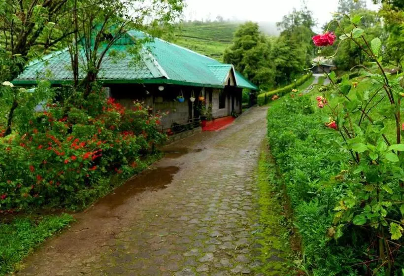 Отель Camelot Resort