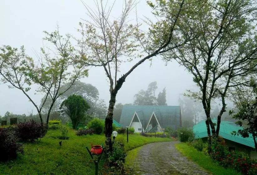 Отель Camelot Resort