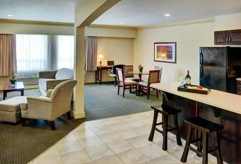 酒店 Chateau Nova Kingsway